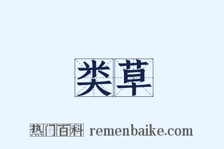 类草是什么意思的图片
